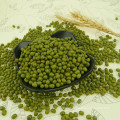 Chinese dried green mung bean